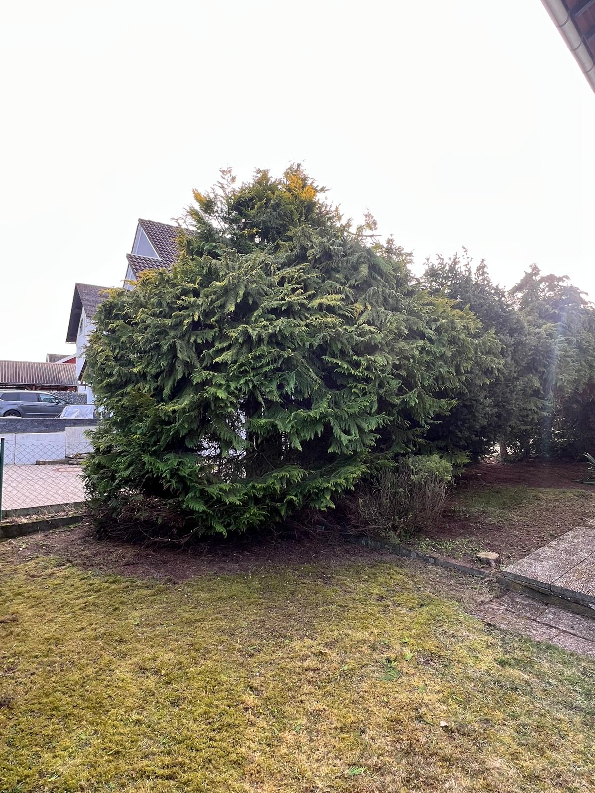 Nachher – Bereich nach der Arbeit