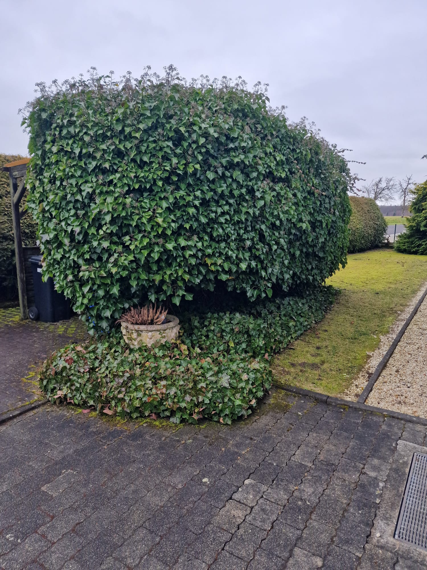 Vorher – Zustand vor dem Einsatz