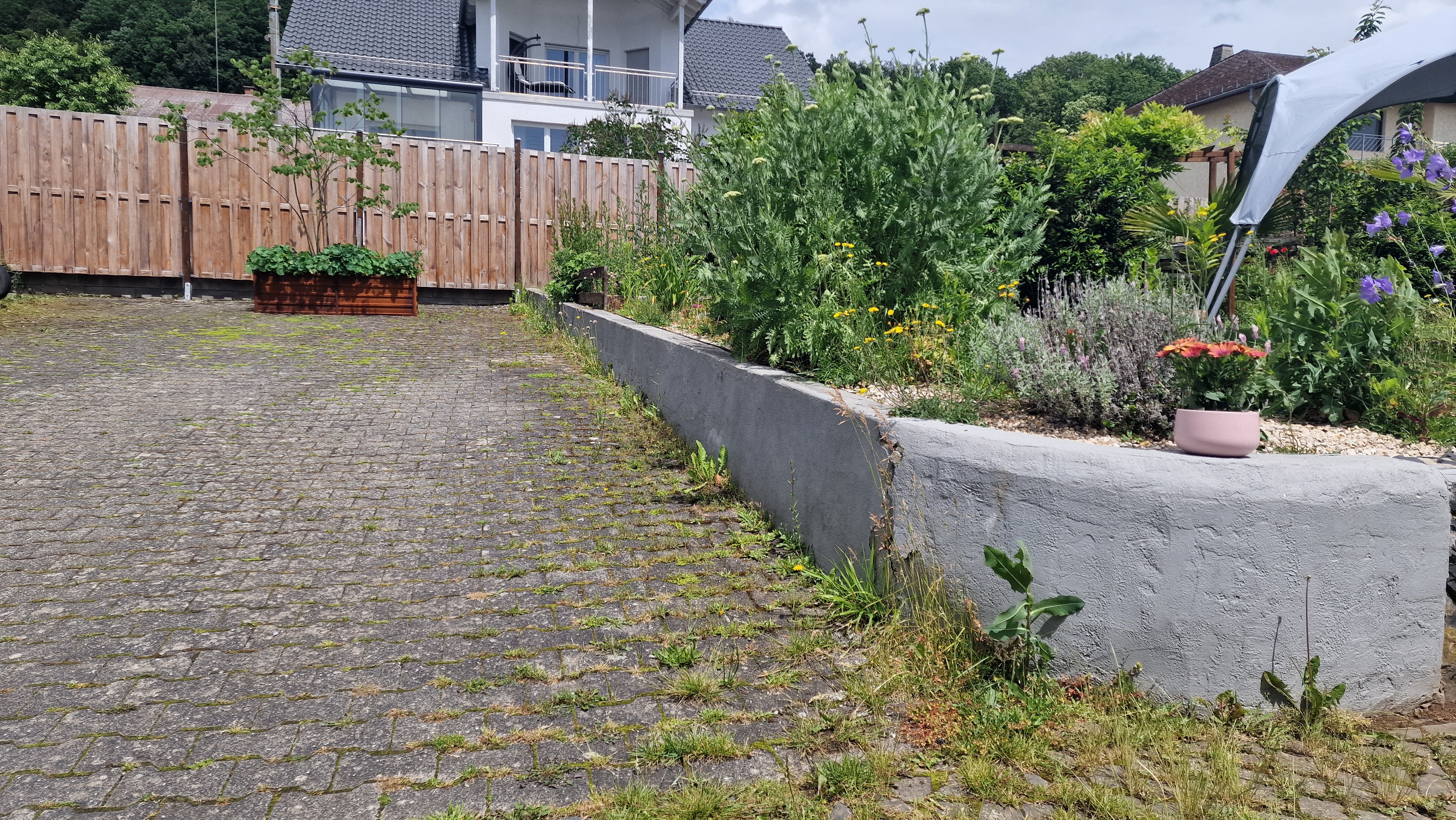 Vorher – Zustand vor der Unkrautentfernung